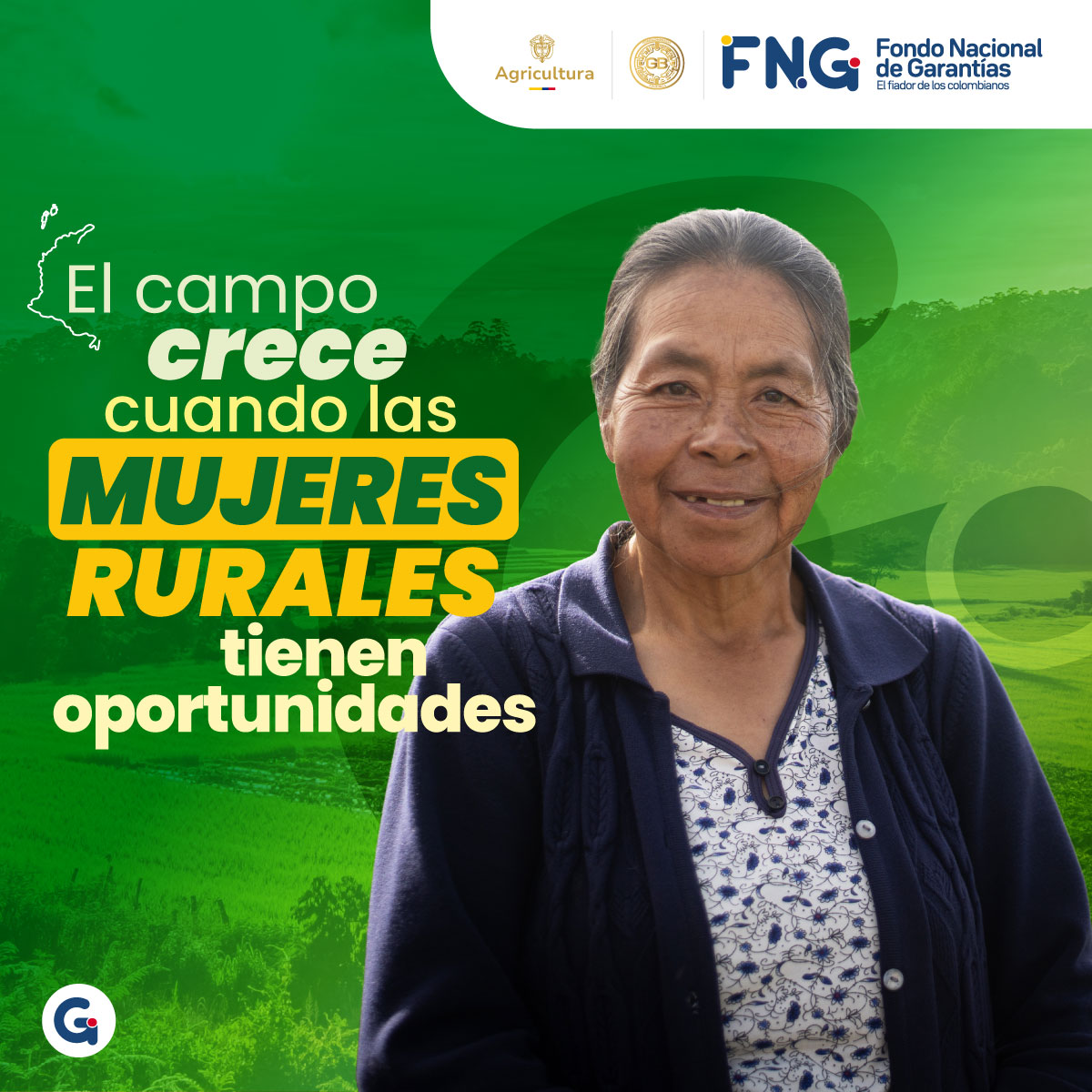 Fondo Nacional de Garantías (FNG)