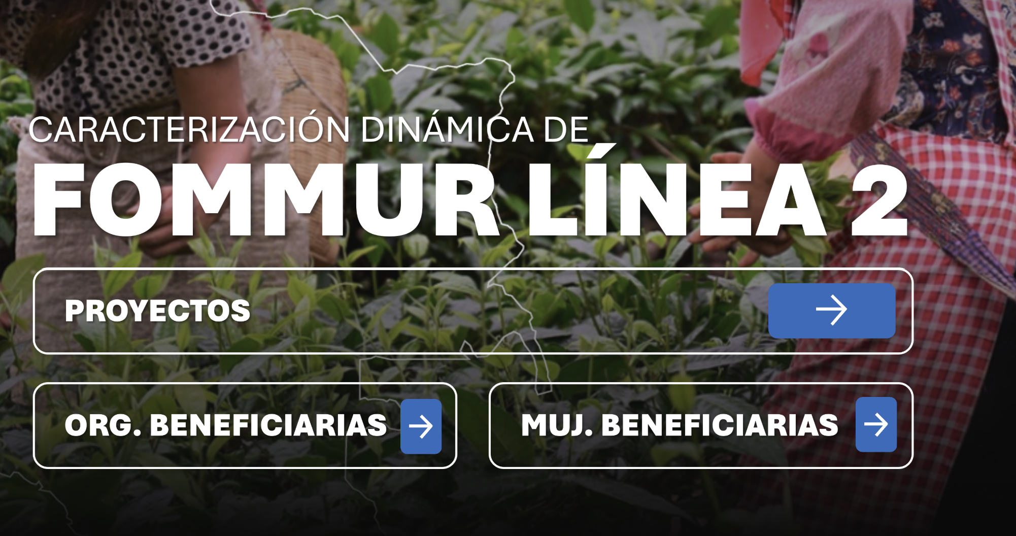 Noticia