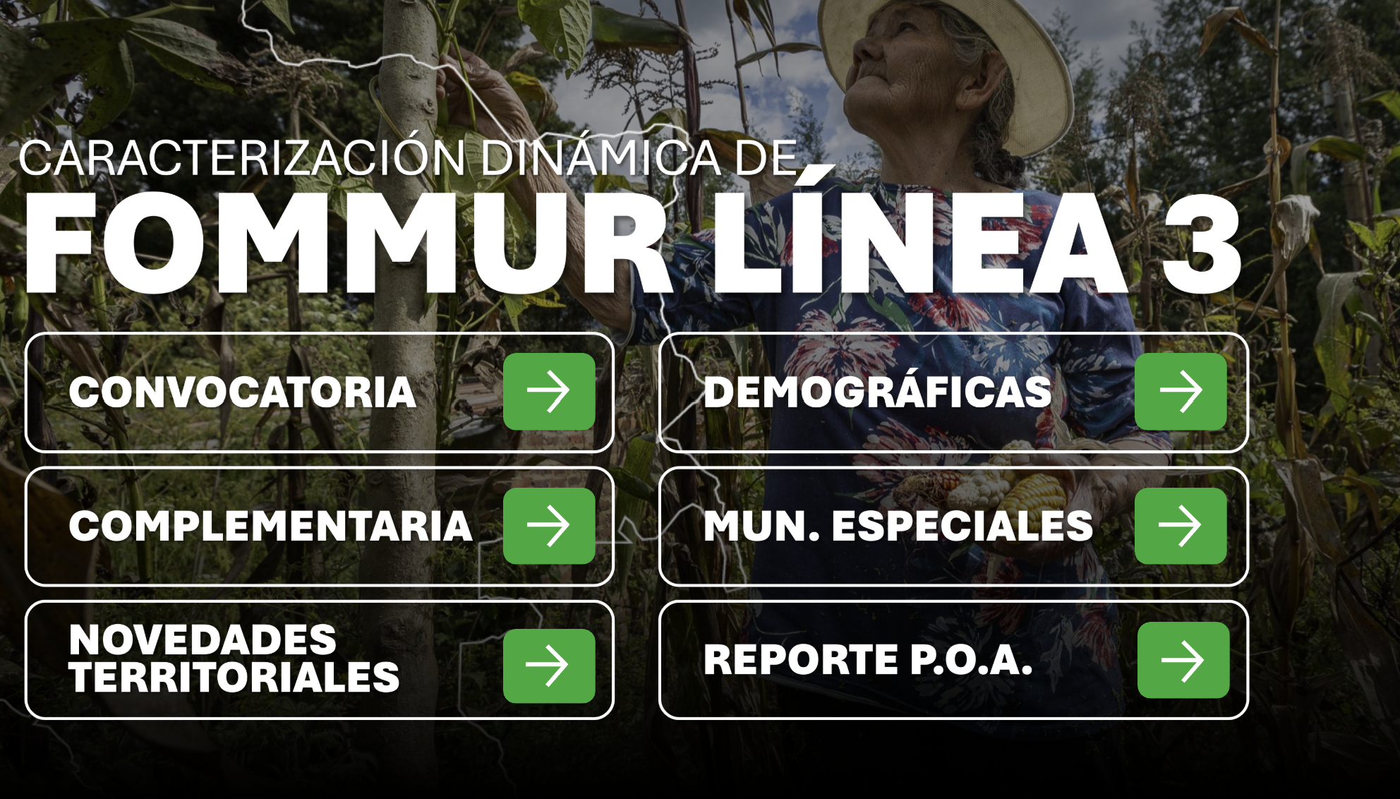 Noticia